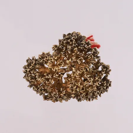 Brosje, 50x40mm, Eggert Sterling Denmark, 925S (gullbelagt) Vekt: 24,3 g Kontakt Lånekontoret for frakt