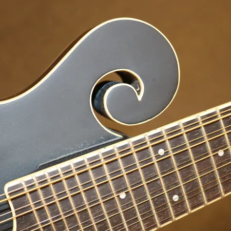 Mandolin / Manditar, Gold Tone F-12, Serienummer 22109427, med hardcase og bærestropp. Gold Tone F-12 er en 12-strengs Manditar (mando-guitar). Den har 6 doble strengepar og er konstruert for å spilles med vanlige gitargrep, men med en lysere, mandolinaktig klang. Kontakt Lånekontoret for frakt