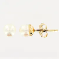 Ett par örhängen, odlad pärla Ø5mm, 18K.  Vikt: 1,1 g