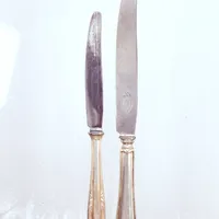 2 Knivar, 20,5-26cm, bredd 10-20mm, delar i stainless steel, silver, brutto Vikt: 114,6 g