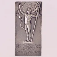 Plakett, 50x25mm, Svenska Gymnastik och Idrottföreningarnas Riksförbund Distrikmästerskap 1917, silver Vikt: 15,9 g