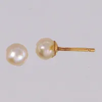 Ett par örhängen, ca 5,5x5,5mm, odlade pärlor Akoya,  snurrebussar i silikon. 18K  Vikt: 0,7 g