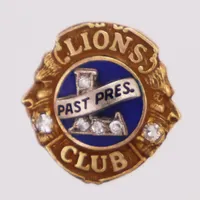 Nål, diamanter ca 0,06ctv, Lions club past pres. ca 15mm, 10K  Vikt: 2,5 g