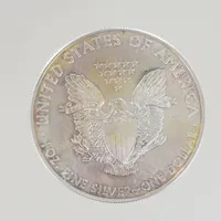 Silvermynt USA Liberty 2013, 1 OZ, diam 40,5 mm, silver 9999/1000 Vikt: 31,2 g