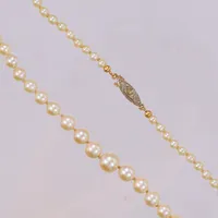 Pärlcollier med odlade doserade pärlor Ø3,5-7,8mm, längd: 52,5cm, i behov av omträdning, visst ytslitage, pärla saknas på lås, lås i 18K  Vikt: 14,5 g