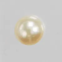 Pärlörhänge, ett udda, odlad pärla Ø7,5mm, stift, saknar snurrebuss, 14K. Vikt: 0,8 g