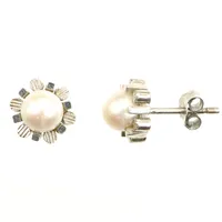 Ett par örhängen med pärlor, vitguld, Ø ca 9mm, stopp i silver,  Vikt: 3,5 g