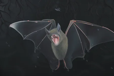 Bild av vara SE1.R82430