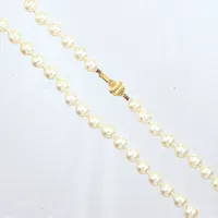 Pärlcollier, lås 18k,  odlade saltvattenpärlor, Ø7,1 - 7,3 mm, längd 41,5cm Vikt: 0 g