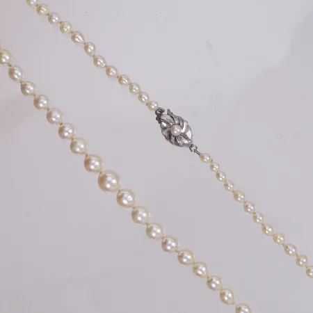 Pärlcollier med odlade saltvattenspärlor, doserat, Ø3,1-7,2mm, längd 52cm, lås 835/1000 silver