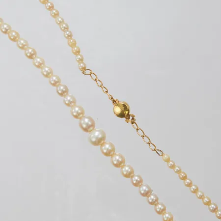 Pärlcollier, odlade sötvattenspärlor, doserat, längd:35cm, bredd:3,5-8mm, trätt på fiskelina, flertal pärlor med slitage, lås i 18K, kedja i oädel metall. Vikt: 0 g