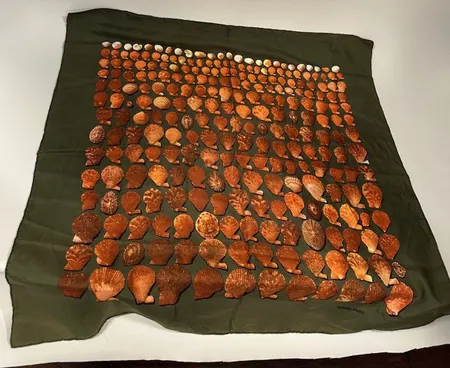 Bild av vara SE13.R24371