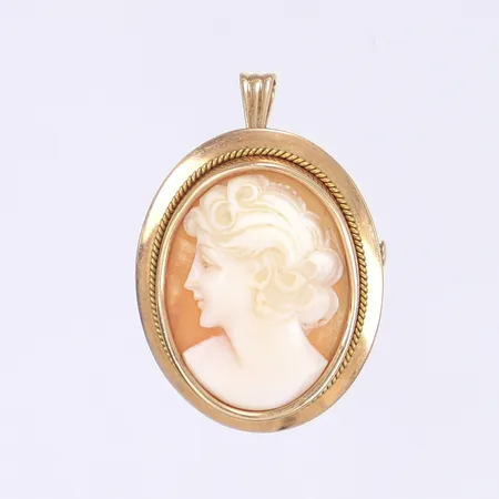 Hänge/brosch med camé, 30x24mm, finska stämplar, spricka i camé, 14K Bruttovikt: 5,9g Vikt: 5,9 g
