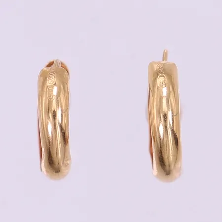 Ett par örhängen, creoler, Ø10mm, bucklor, 18K.  Vikt: 0,5 g