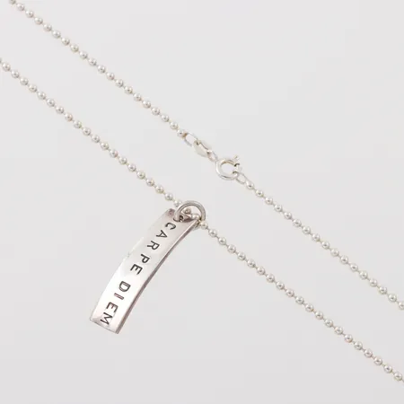 Hänge/Kedja, Efva Attling, Carpe Diem, längd ca 41cm, bredd:1,2mm, hänget 35x8mm, originalask, silver. Vikt: 9 g