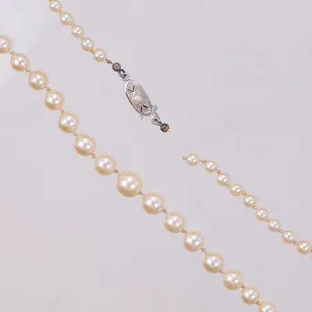 Collier med odlade saltvattenspärlor, doserat, längd 44cm, lås vitguld, defekt/av,  18K  Vikt: 1 g