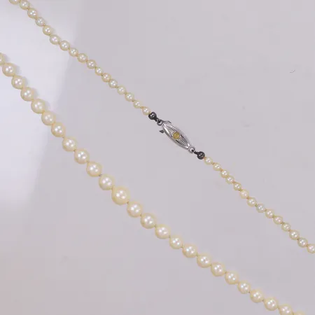 Pärlcollier, odlade pärlor, 50cm, bredd: 3,3-7,2mm, silverlås som saknar pärla, 925/1000 Vikt: 0 g
