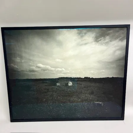 Tavla, Alvaret #1, fine art print, edition 1/3, Pia Ulin, år 2021,100x80cm, slitage på ram Specialfrakt, kontakta pantbankskontoret för mer information.