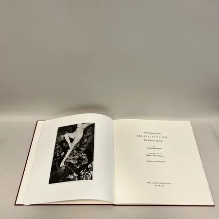 Bild av vara SE8.R1000312