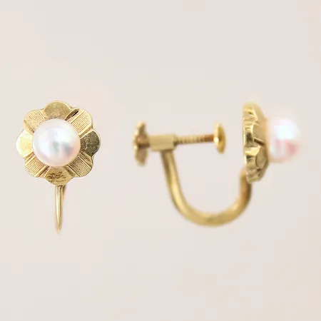 Ett par örhängen med odlade pärlor, Ø8,7mm, skruvlås, 14K  Vikt: 2,4 g
