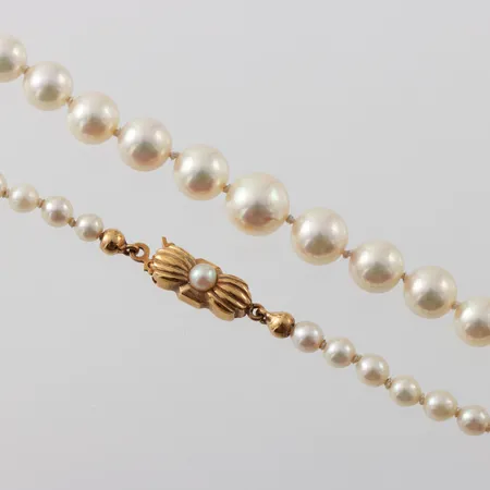 Bild av vara SE76.R16808