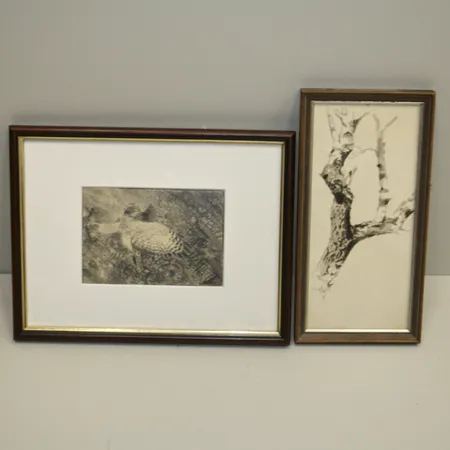 2st tavlor i blyerts, Thure Wallner, bildmått ca 13x9cm, rammått 26x20cm, (Höken somnade mätt år 1970) Tavla med träd har bildmått 9,5x21cm, rammått 12x24cm år 1970,