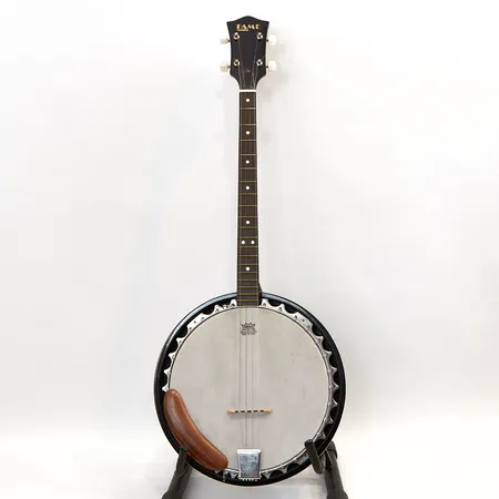 Banjo, Hondo Fame HB74A, tenor, hårt fodral 