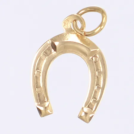 Hänge hästsko, 20x11mm, 18K Vikt: 0,5 g