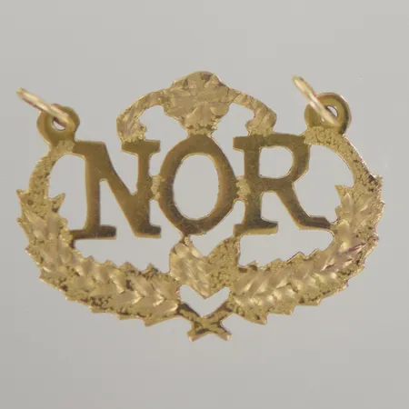 Hänge namn, NOR, längd 3,3 x2,4 cm, 21K Vikt: 2,3 g