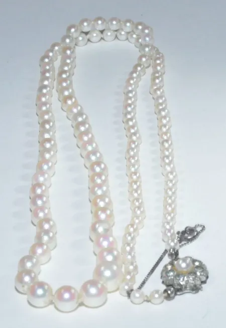 Bild av vara SE77.R15314