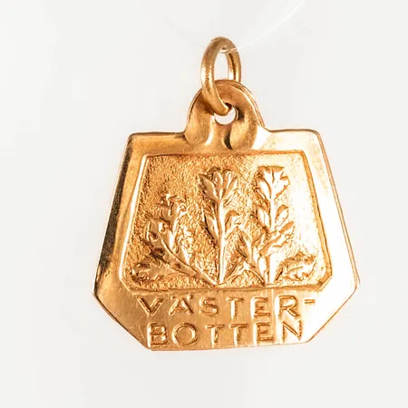 Berlock "Västerbotten" i 18K guld. Den är 18 mm lång inkl. ögla och väger 1,0g. 
