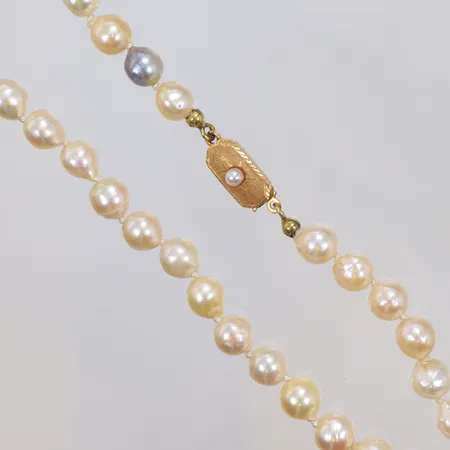 Pärlcollier med odlade saltvattenpärlor troligen Akoya, Ø6,9-7,2mm, längd 60cm, något ojämna i färg och i formen, en pärla silvergrå färg, lås i 18K, bruttovikt 37,6g 