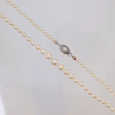 Collier med odlade saltvattenpärlor trolgen Akoya Ø3,5-7,2mm, 57cm, lås i silver 835/1000 Vikt: 13,5 g
