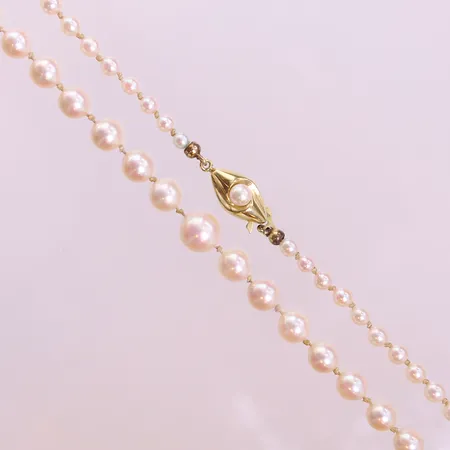 Pärlcollier med doserade saltvattenspärlor Ø3-7mm, ca 57cm, i behov av omträdning, lås med odlad saltvattenspärla 14K, bruttovikt 14,6g Vikt: 14,6 g