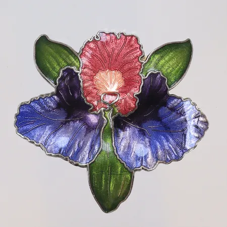 Bijouteri, brosch med emaljdetaljer, 50x45mm, böjd nål, okänd metall