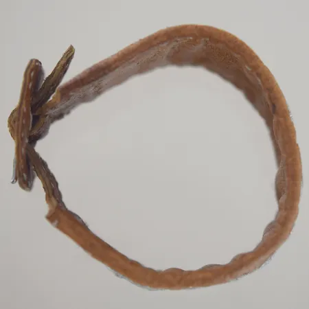 Armband med silverdetaljer , längd 23 cm, bredd 4 cm Vikt: 0 g