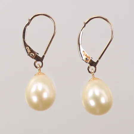 Ett par örhängen med pärlor, 25x10mm, 14K, bruttovikt 2,5g Vikt: 2,5 g
