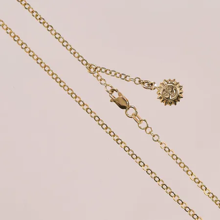 Fotlänk, 24cm, berlock "sol", 14K 2,4g.