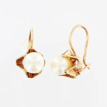 Ett par örhängen, pärlor, 19x10mm, smärre skevheter, 14K.  Vikt: 3,4 g