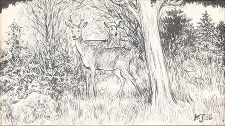 Bild av vara SE1.R84835