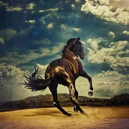 Tavla, pigment print, Kalle Gustafsson "Stallion", omslagsbild till Bruce Springsteens album "Western Stars", 2019, numrerad 1/25 och signerad, ca 65x60cm, ram med stötskador, ej  examinerad ur ram. Specialfrakt, kontakta pantbankskontoret för mer information.