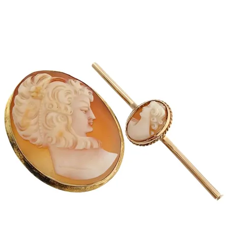 Broscher, 2 stycken, en kombinerad Brosch/Hänge, 14 resp. 18K guld, camé, bruksmärken, bruttovikt 11,2 gram Vikt: 11,2 g