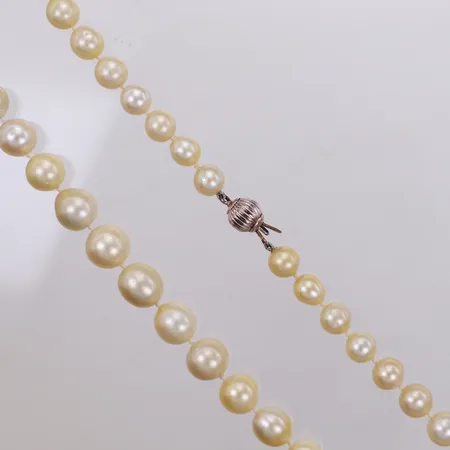 Collier med söderhavspärlor (South Sea), gultonade, doserat Ø 9,2-13mm, lås i oädel metall, längd ca 51,5cm, ojämnheter och ytskador på flera pärlor, tillhörande skadat etui