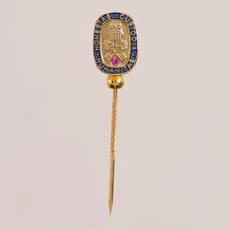 Nål, 12mm, etui, emaljdekor, 18K 2g.