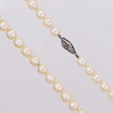 Pärlcollier, odlade pärlor, längd 43,5cm, Ø7,4mm, silverlås 925/1000  Vikt: 30,8 g