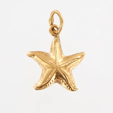Berlock sjöstjärna, 16x11mm, 18K Vikt: 0,5 g