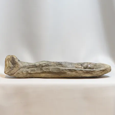 Fossil med fisk okänd ålder, mått ca 31x8cmm höjd ca 7cm, baksida med spår av skruvar 