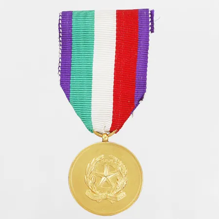 Medalj, italiensk, för konst och kulturella insatser, 1950-tal, på flerfärgat ripsband, Ø33mm, 18K guld, bruttovikt: 22,6gr Vikt: 22,6 g