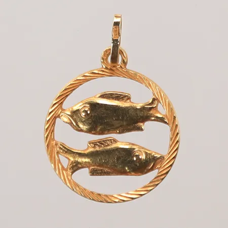 Hänge fiskarna, 20x15mm, 18K Vikt: 1,1 g