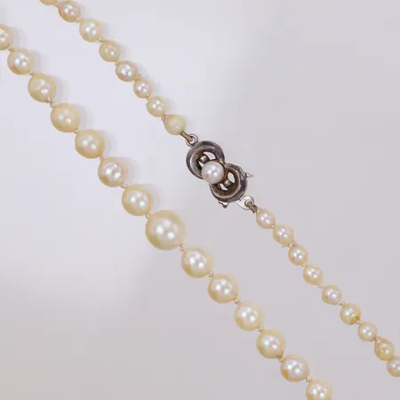 Pärlcollier doserat med odlade pärlor Ø3,4-7,2mm, längd 49cm, slitage på pärlor, lås i silver 835/1000 Vikt: 12,3 g